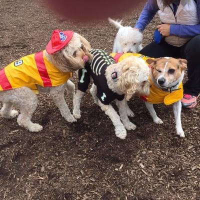 Halloween at the Talley Day Bark Park