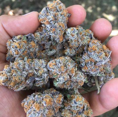 Top quality strains