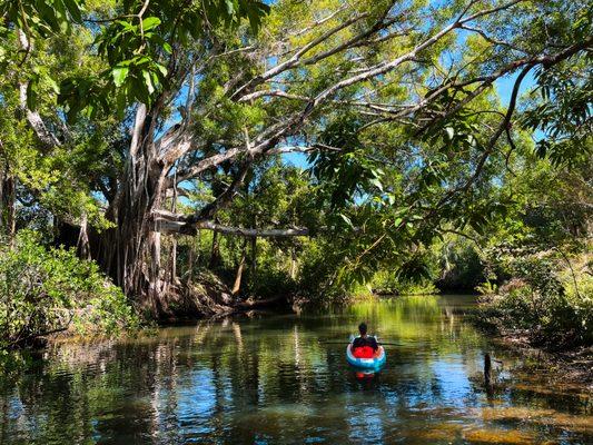 Must See Florida Paddle Tours