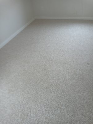 Some of that carpet cleaning magic you can expect from Renaissance Carpet Cleaners