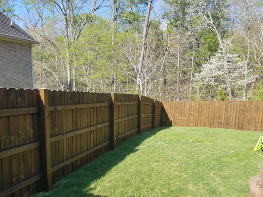 Custom Fence installation & Stain!