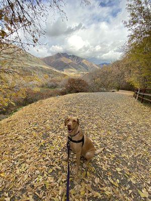 My favorite photo from our day at the park.