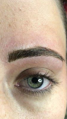 Eyebrows microblade