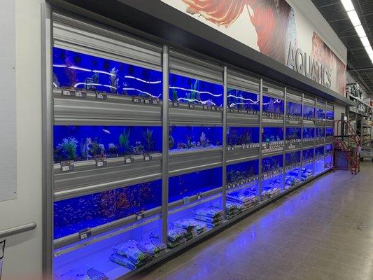 Clean healthy fish tanks