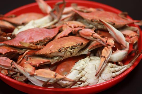 Boiled Crabs