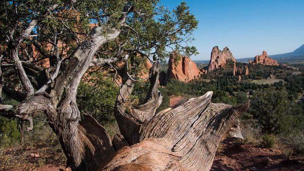 Garden of the Gods