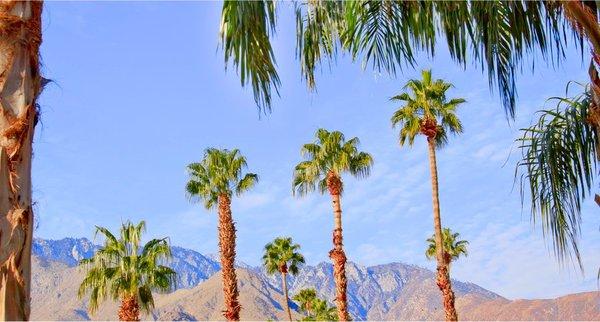 Beautiful Palm Springs California