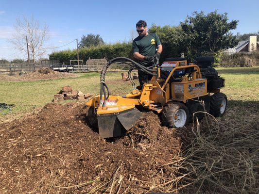 Stump Grinding