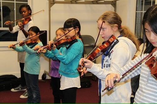 Violin Hawaii