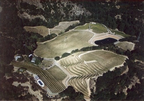 View from above the family vineyard.