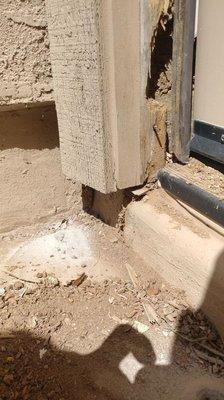 Damage from subterranean termites