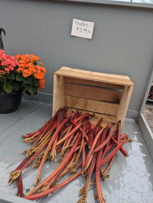 Rhubarb at the Farmer's Market