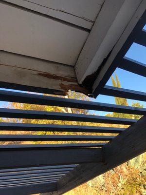 Severe wood rot on eaves and fascia that needed replacing.