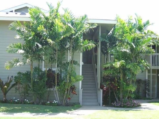 Garden Style Apartments with Beautifully Landscaped Units and Private Lanai's