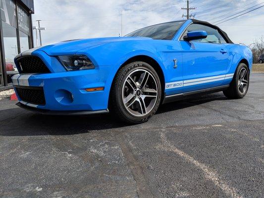 "When friends come visit" Shelby GT500