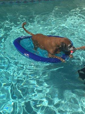 Rogue loves floating in the pool