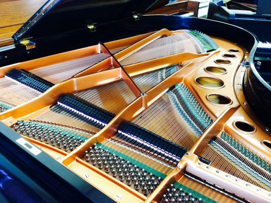 Plate Refinished in a Steinway Factory Gold, Brand new Strings Installed