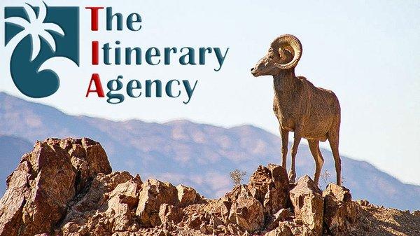 The Itinerary Agency