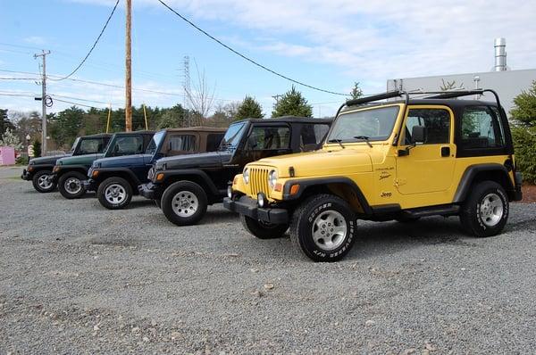 Lots of Jeeps in the summer!