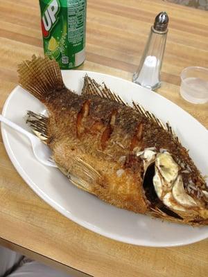 Little Kids Nutrition Fish Market