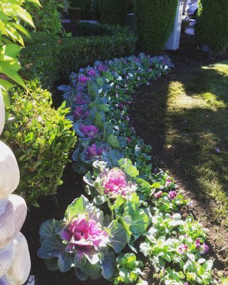 Colorful Fall Flowers