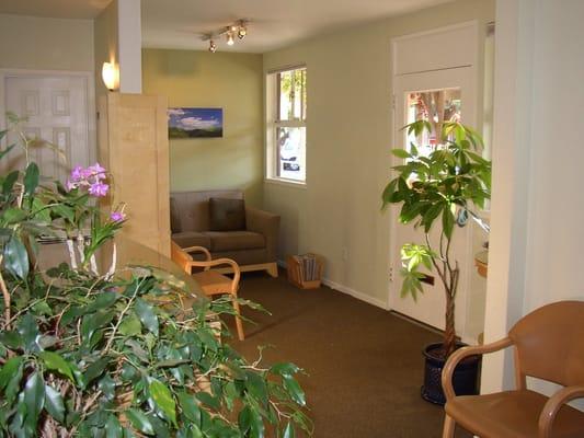 Mill Valley Massage