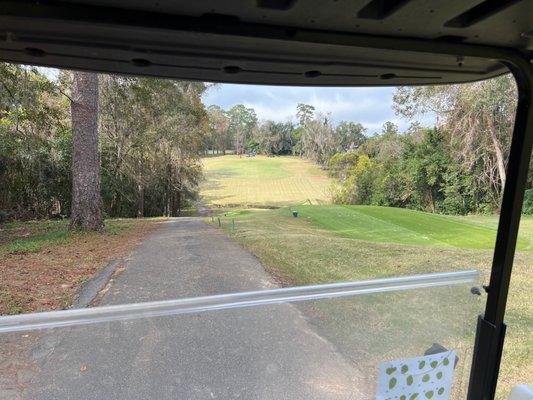 View of hole 16th fairway and green from tee...tricky hole.