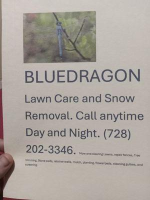 Blue Dragon Landscaping Service