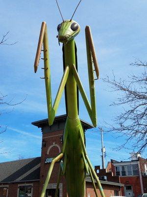 Kokomantis is the 22' long sculpture by Scott Pitcher (2012)