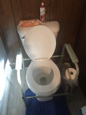 A cleaned toilet done by The cleaning Fairies