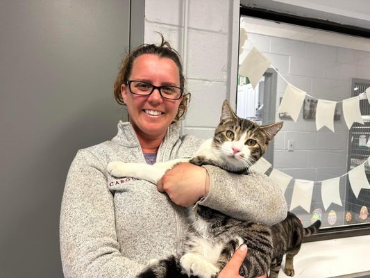 Town of Huntington Cat Shelter Operated by Little Shelter