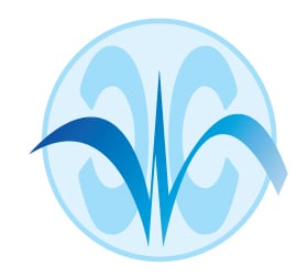 Chiropractic Wellness Center logo