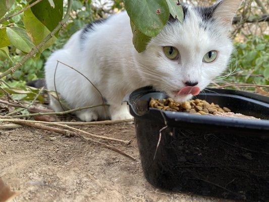 Mama eating