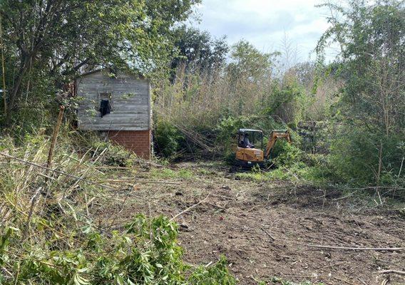 About half way through on the bamboo removal