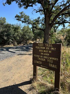 Upper Bidwell Park in Chico.  Early October 2023.