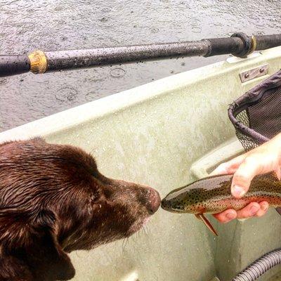 The Dog Loves Trout