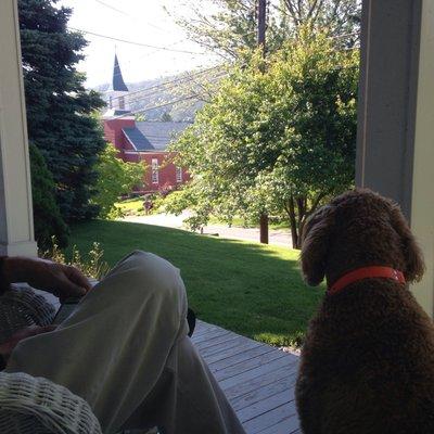 Dad having a lovely sit with a new friend.