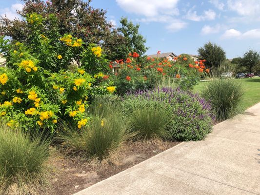 Beautiful garden spots along the path