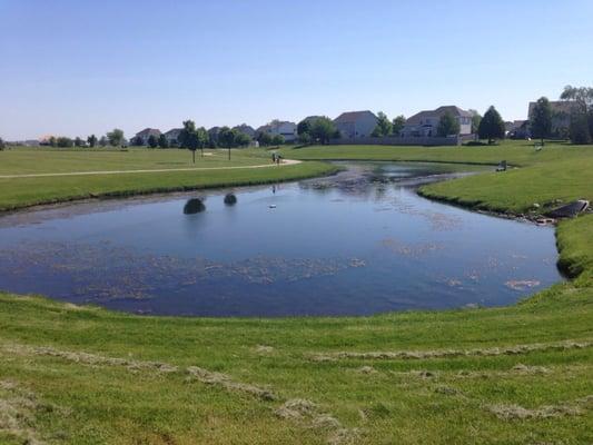 2nd pond