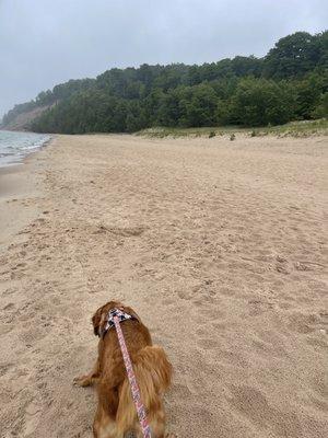 Frankfort Dog beach.