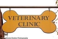 "First Vet In Bed-Stuy"