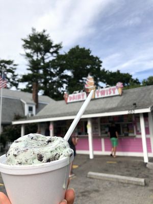 Mint Oreo and Peppermint patty small