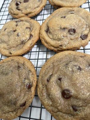 Chocolate Chip Cookie