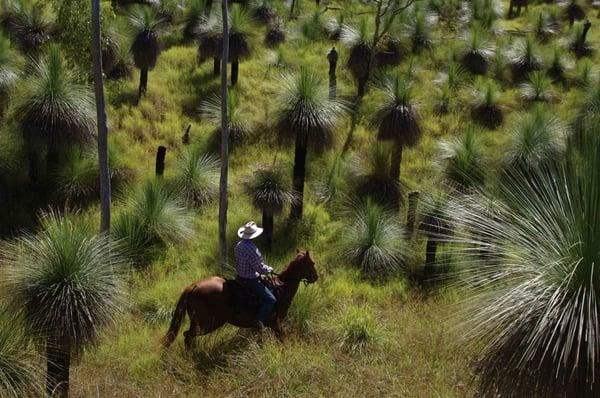 The Boomerang Trail Ride, Australia