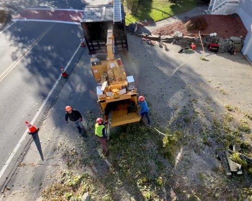 The view from above. GoPro Camera on Tree Climber/Arborist's helmet.