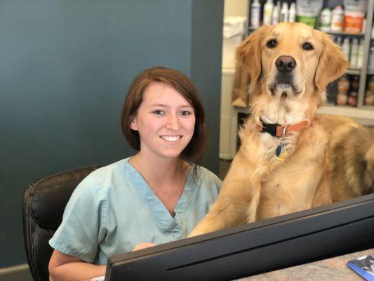 Emerald City Animal Hospital