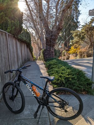 Bikes on Solano