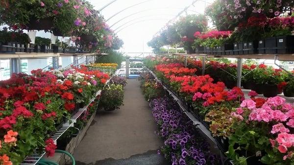 Inside our Garden Shop