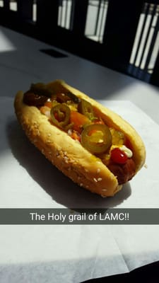 Jumbo Beef Dog with everything! (Mayo,mustard, ketchup,relish, onion, tomato, and jalapeños)