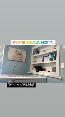 North Penn Animal Hospital